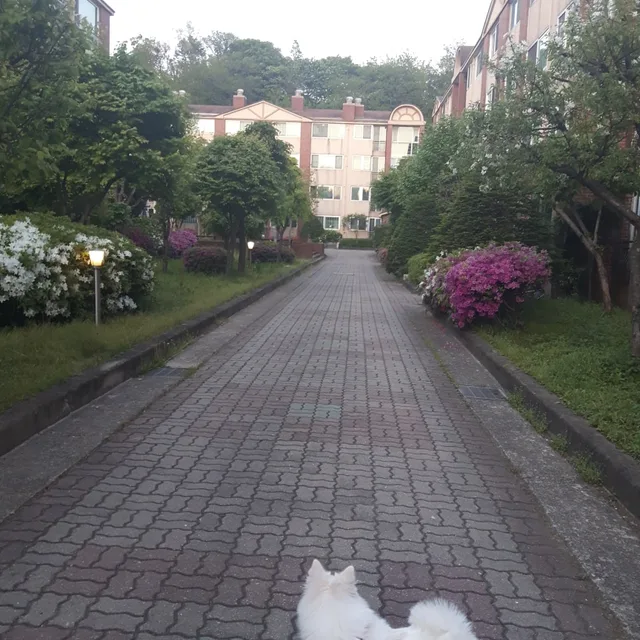 여유롬