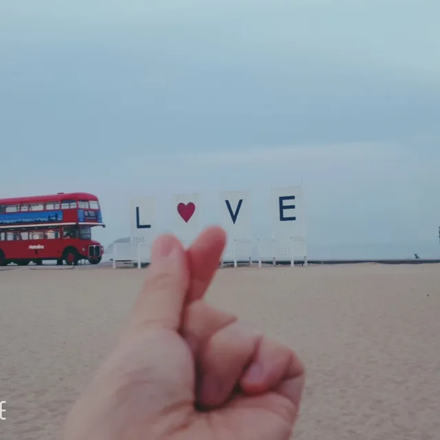 바다새