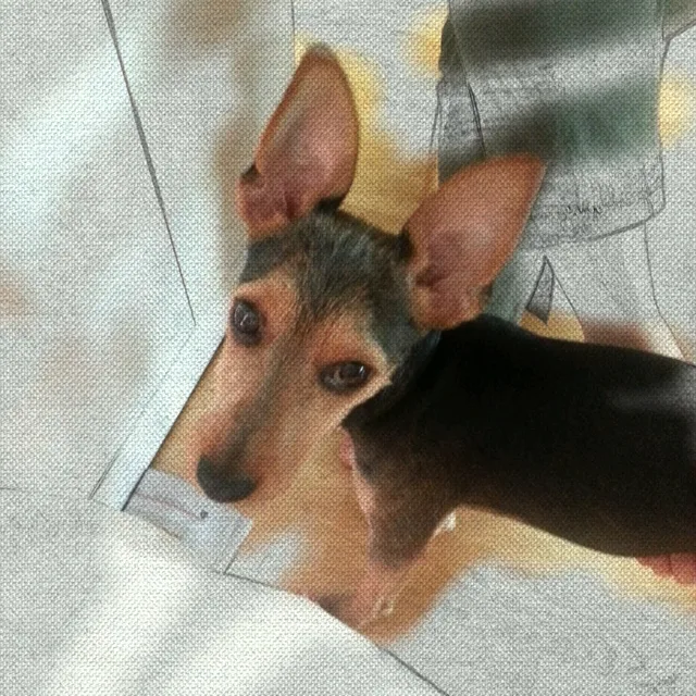 이한돌