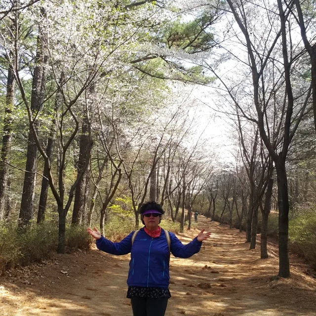 마망