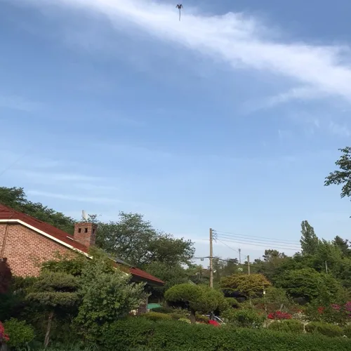 팝콘99