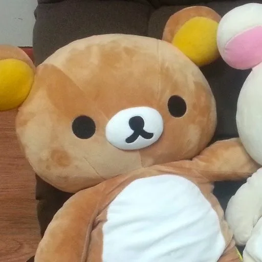 노리