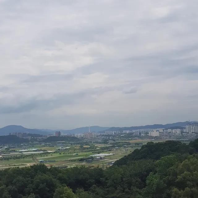콩콩이