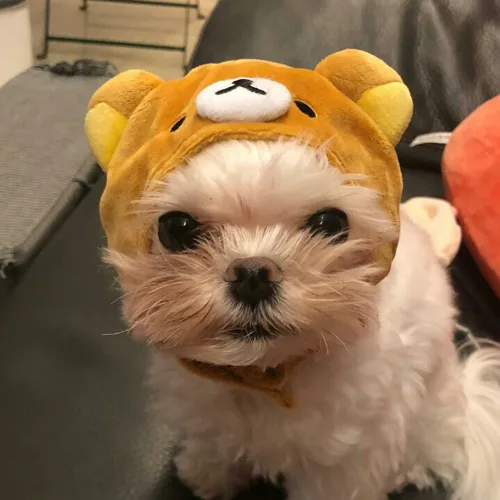 날두