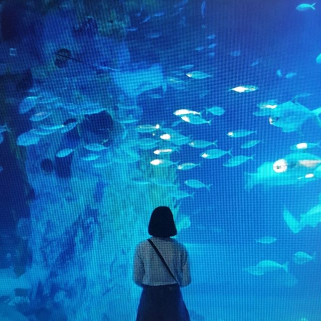 쿨한세상
