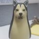 jinnn