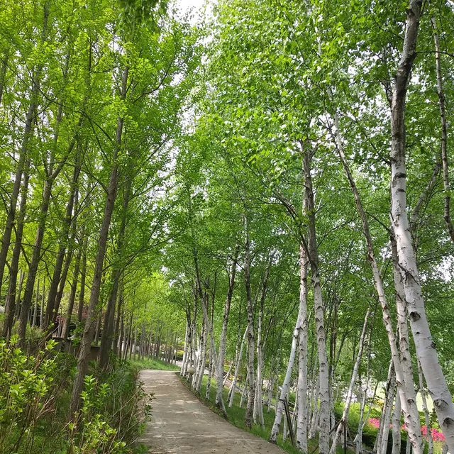 주와