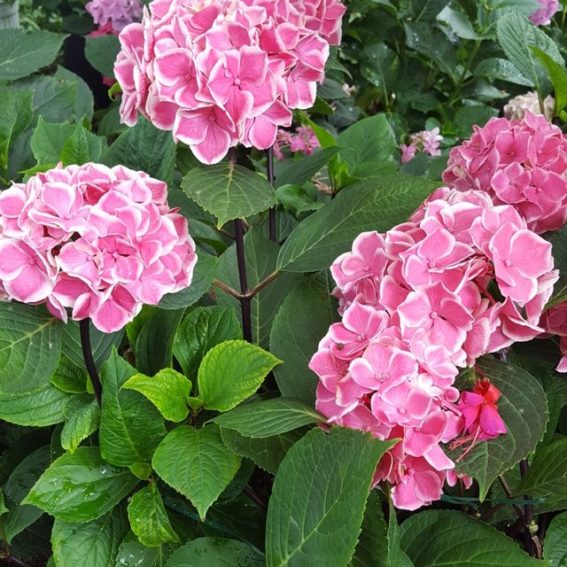 리뷰 프로필 이미지