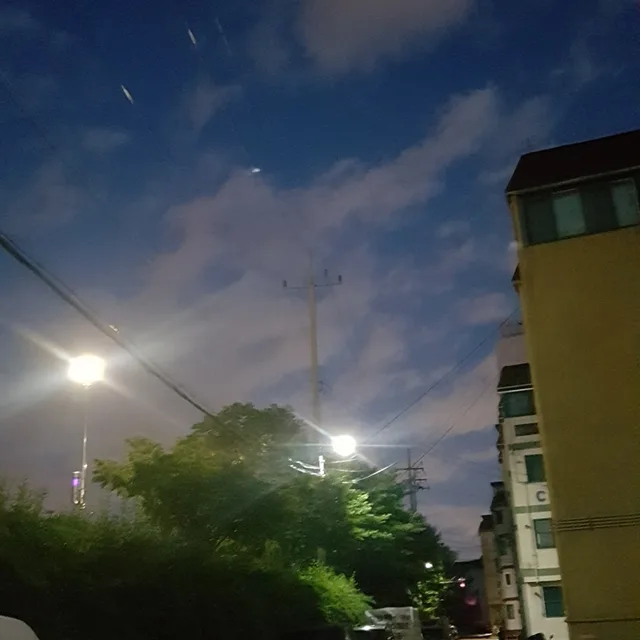 럭키맘