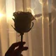 처콩뽀뽀