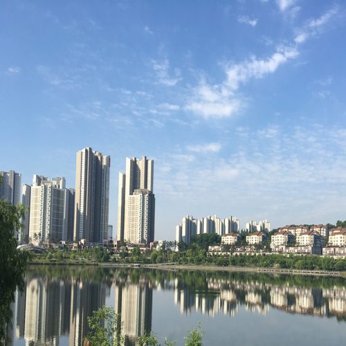 프리스틴의원