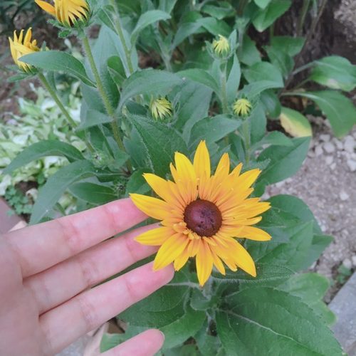 행복하세요