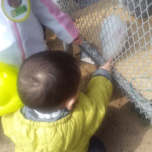 공룡집