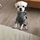 아담이