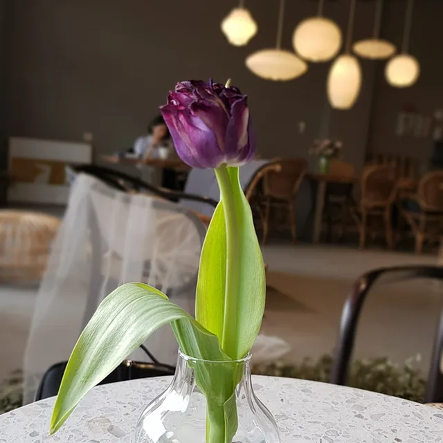 띠로리