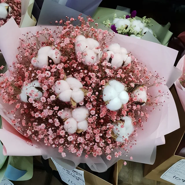 보물