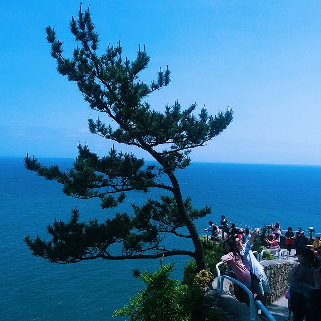 진인사대천명