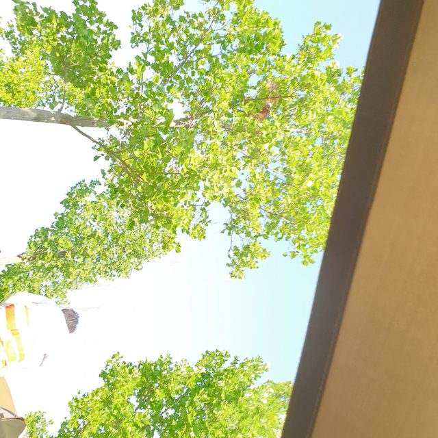 초코시럽