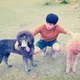 티케이