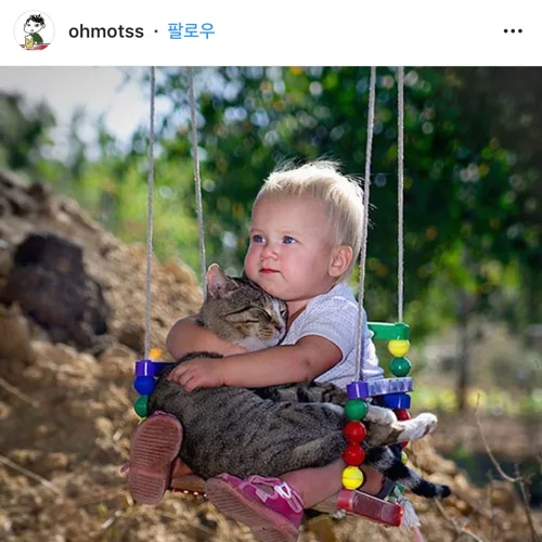 양양댁