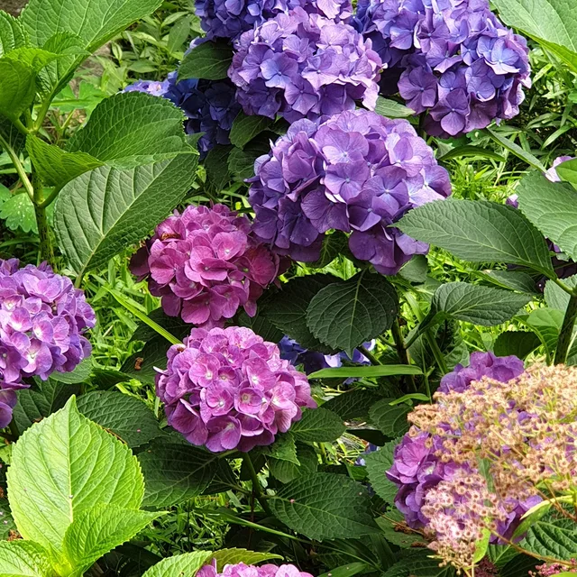 별별달달