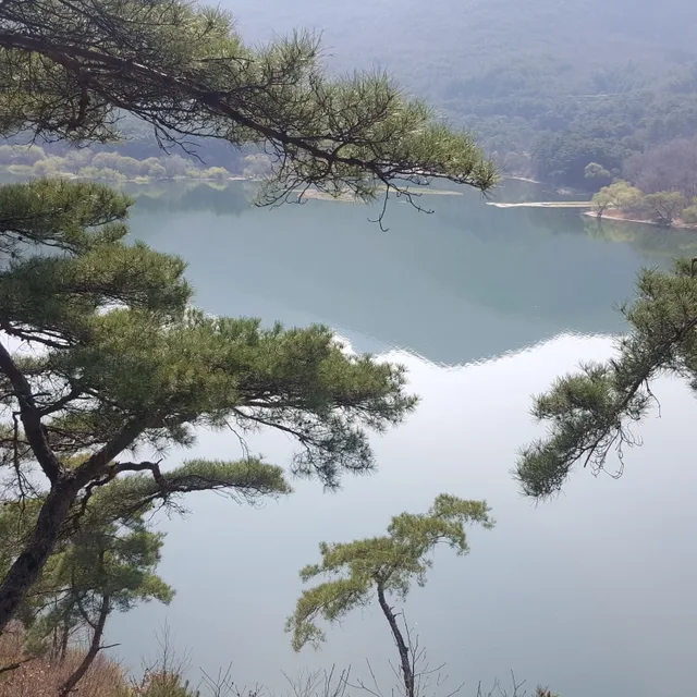 무숙자