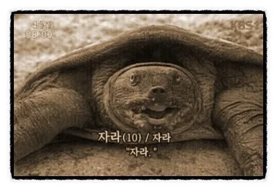 코마키고
