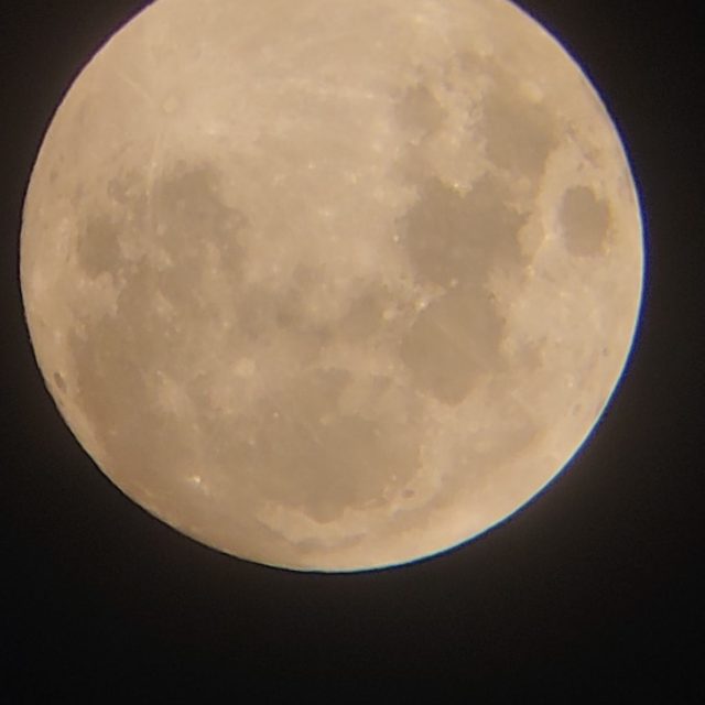 ๋ค์
