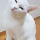 수기짱