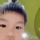 보석딸기