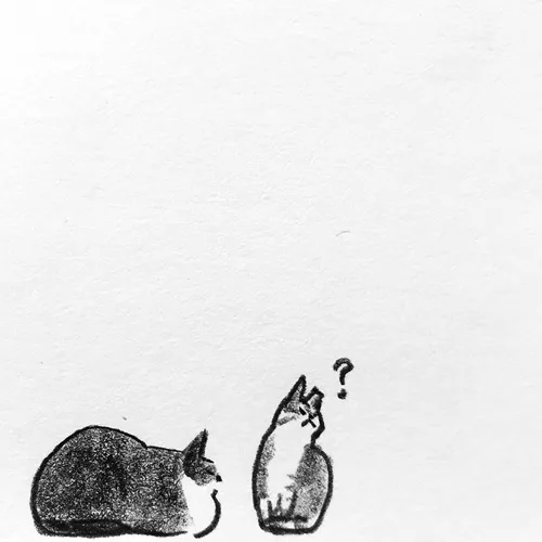 바보온달