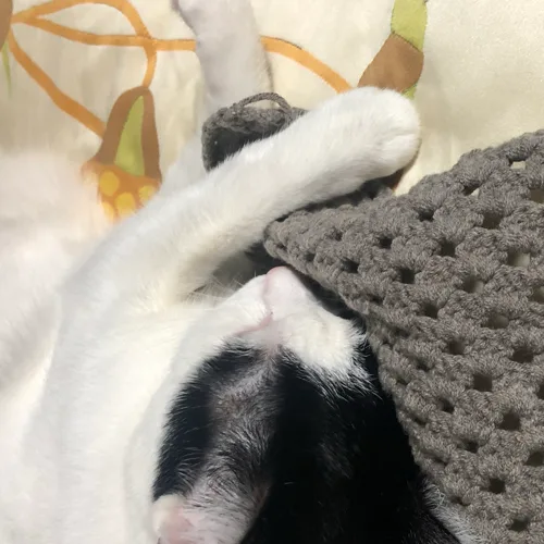 샌디맘
