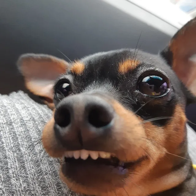 득이