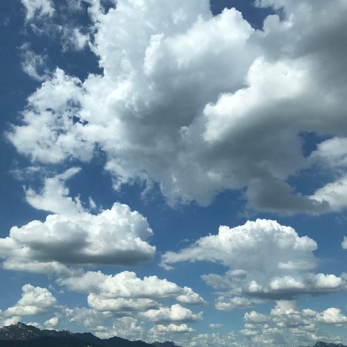 판다곰