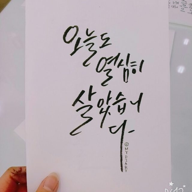 항상정직하게