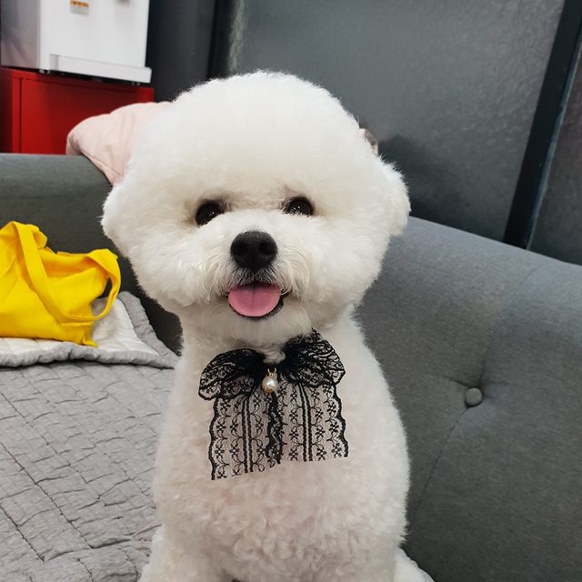 멋진걸