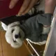 밤이