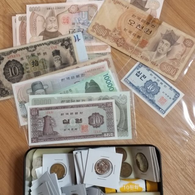 뮤를꿈꾸며