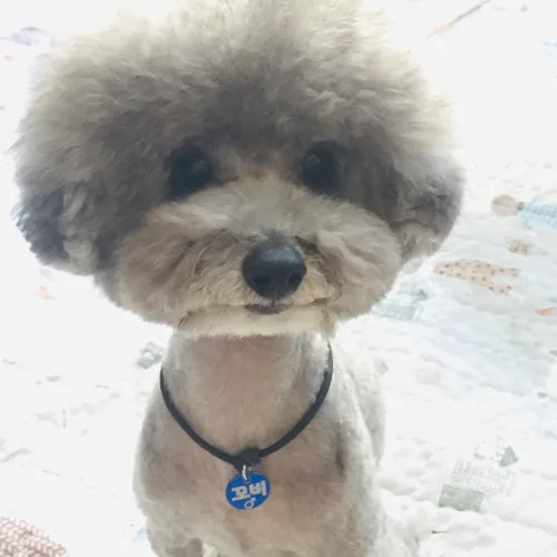 수박