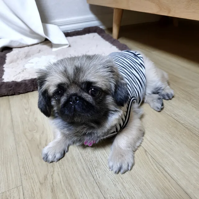 아델맘