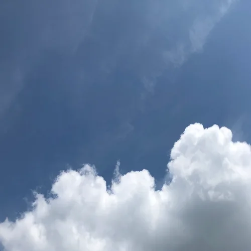 허브향기