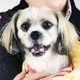 달빛꽁