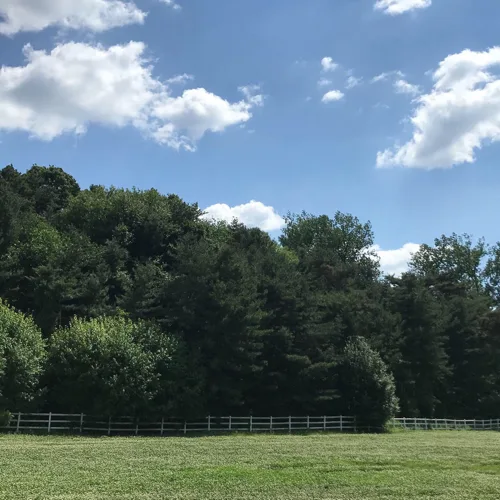 q123p