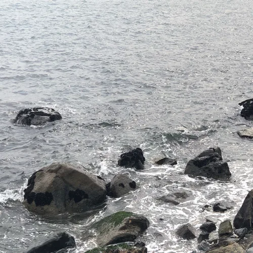 뉸누