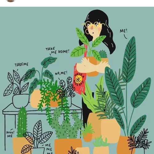 타라