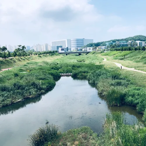 당근스프