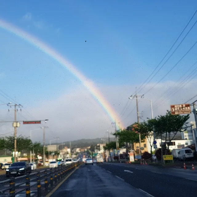 후추맘