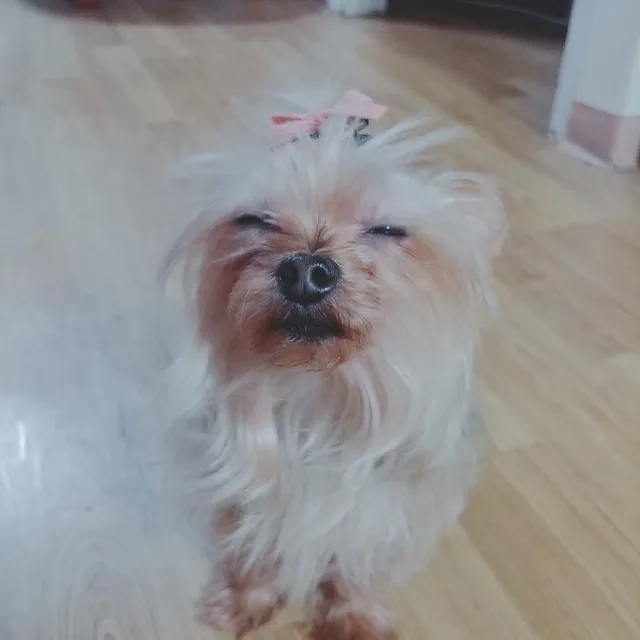 빛희웅