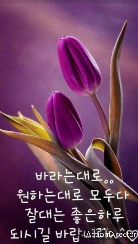 바라는대로