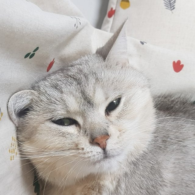 인헌동전기매앤